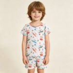 Baby Boys Colorful Starfishes Boats Beach Top Shorts Pajamas Clothing Outfit